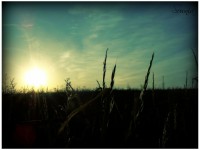 /album/paysages/befunky-lomoart-1-jpg/