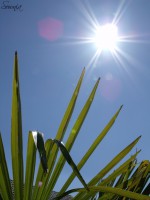 /album/paysages/dscf6888-jpg/