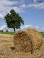 /album/paysages/dscf9474-jpg/