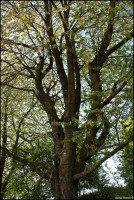 /album/divers/img-8662-jpg/