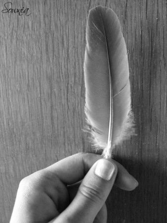 Plume