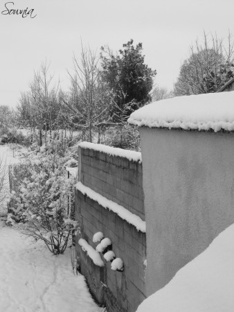 Neige