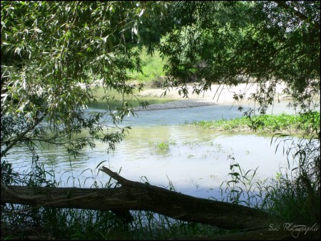 Rivière